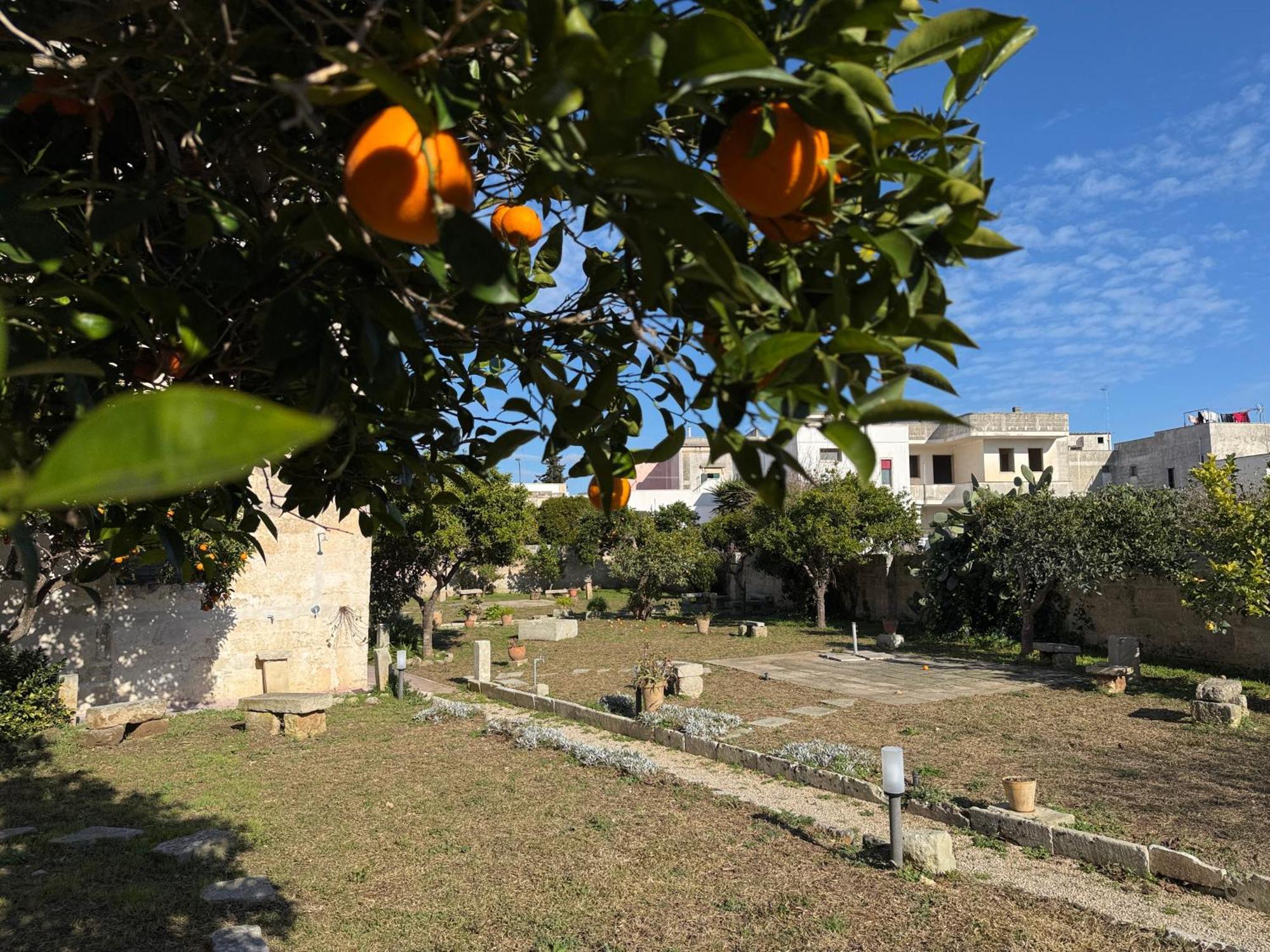 Residenza Storica Parco Lanoce Leilighet Poggiardo Eksteriør bilde